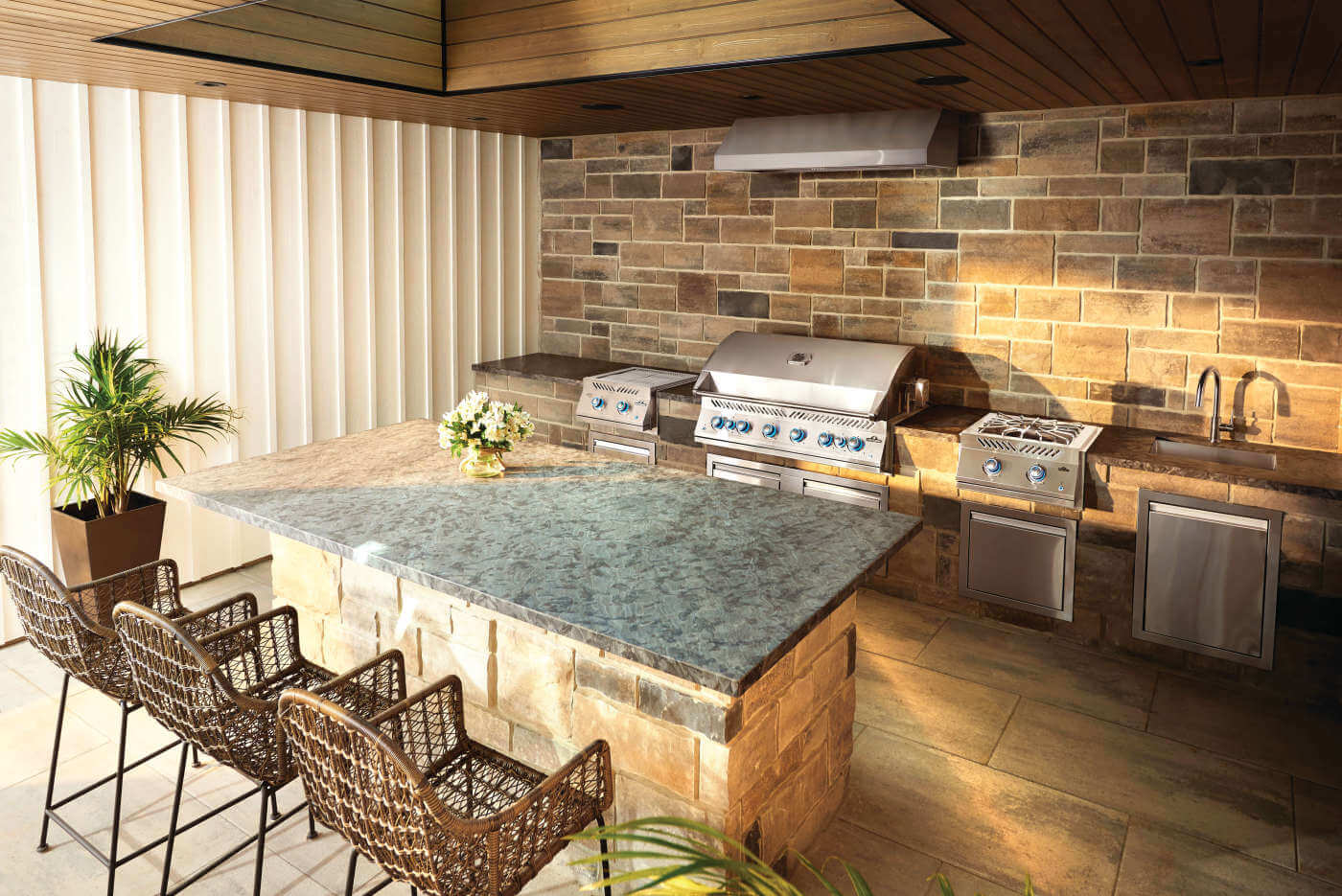 Built-in NAPOLEON Gas Barbecue 44RB - Image 4