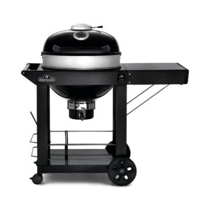 CHARCOAL BARBECUE NAPOLEON PRO22CK-C BLACK