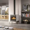 PALAZZETTI wood-burning stove model GISELLE 66T GLASS