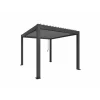 PERGOLA bioclimatica BIOHORT 312 x 367,5 x 255 cm